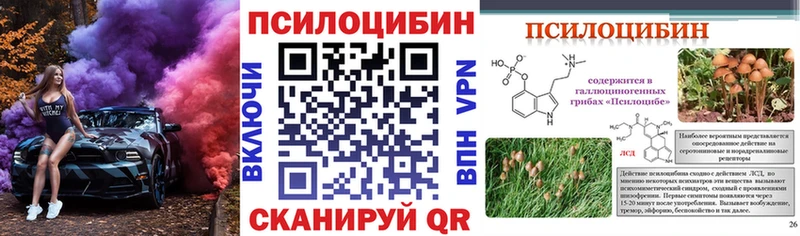 Галлюциногенные грибы Psilocybe  где купить наркоту  Егорьевск 